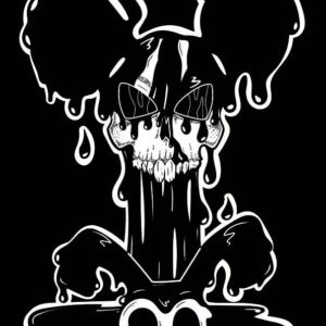 Mickey Mouse Print